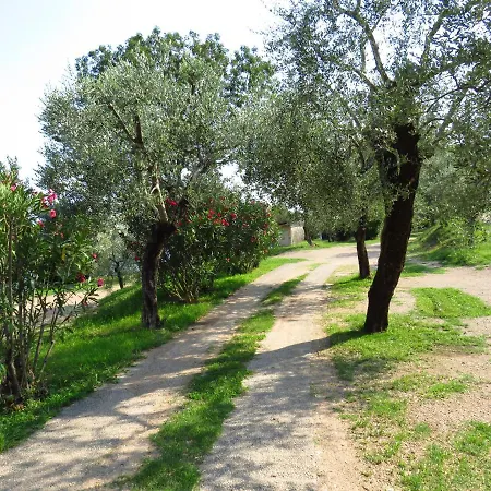 Villa In Uliveto Vista - Casaliva